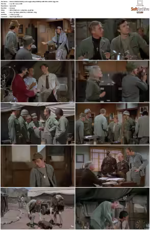 M.A.S.H. S01-S11 1080p WEBRip 10Bit DD2.0 HEVC-d3g