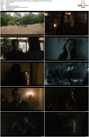 The Walking Dead Dead City S02 1080p BluRay Remux DTS-HD MA5.1 H264-BTN
