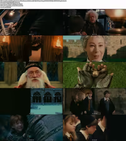 Harry Potter and the Sorcerers Stone 2001 1080p Bluray DS4K OPUS 7.1 AV1-WhiskeyJack