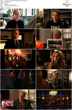 Veronica Mars S01-S04 1080p WEBRip 10Bit AAC2.0 HEVC-d3g