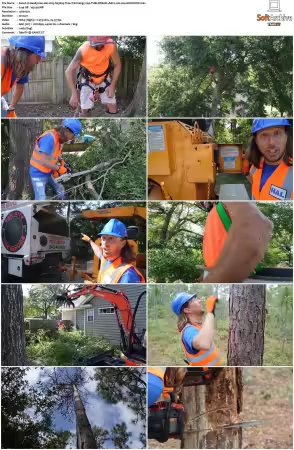 Handyman Hal 2023 S01-S03 720p TUBI WEB-DL AAC2.0 H264-NOGROUP