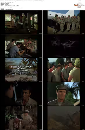 Baa Baa Black Sheep S01 1080p BluRay 10Bit DDP2.0 HEVC-d3g