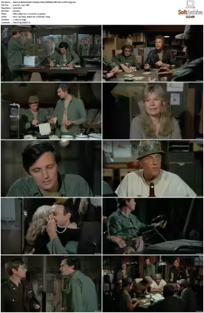 M.A.S.H. S01-S11 1080p WEBRip 10Bit DD2.0 HEVC-d3g