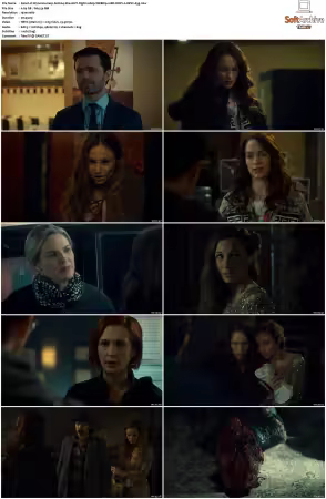 Wynonna Earp S02 1080p WEBRip 10Bit DDP2.0 HEVC-d3g