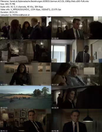 Diplomatische Beziehungen S03E03 German AC3 DL 1080p Web x265-FuN
