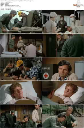 M.A.S.H. S01-S11 1080p WEBRip 10Bit DD2.0 HEVC-d3g