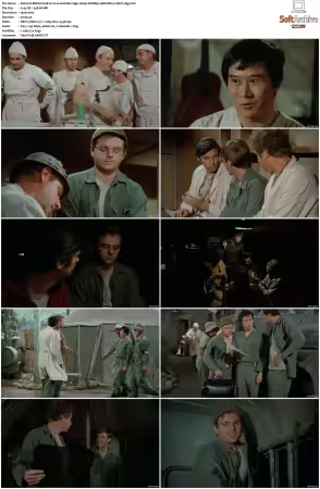 M.A.S.H S03 1080p WEBRip 10Bit DD2.0 HEVC-d3g