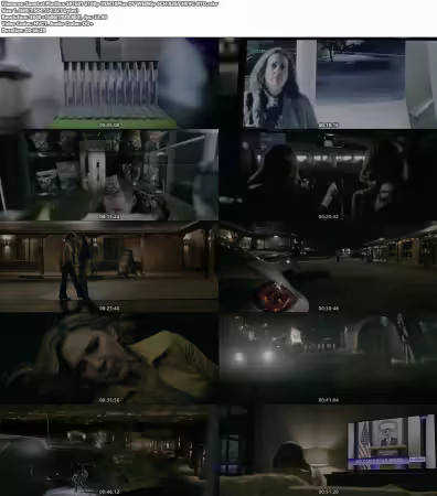 Pluribus S01E01 2160p HDR10Plus DV WEBRip 6CH X265 HEVC-BTD