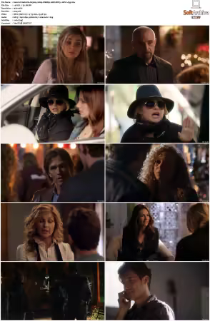 Nashville S03 1080p WEBRip 10Bit DDP5.1 HEVC-d3g