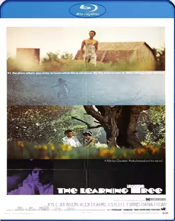 The Learning Tree 1969 1080p Bluray Opus 1.0 x264-RetroPeeps