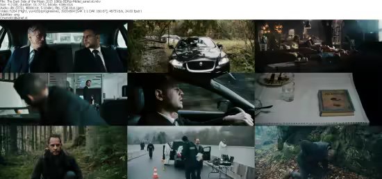 The Dark Side of the Moon 2015 1080p BDRip-Msltel