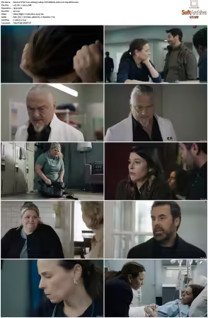 STAT 2022 S01 1080p WEB-DL AAC2.0 H264-KiNGS