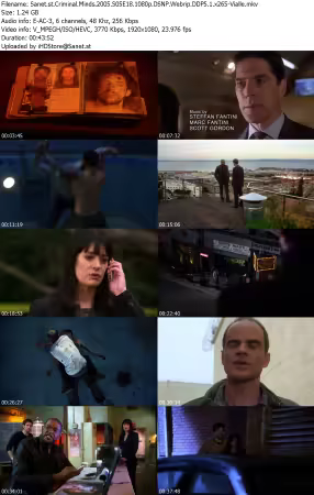 Criminal Minds 2005 S05E18 1080p DSNP Webrip DDP5 1 x265-Vialle