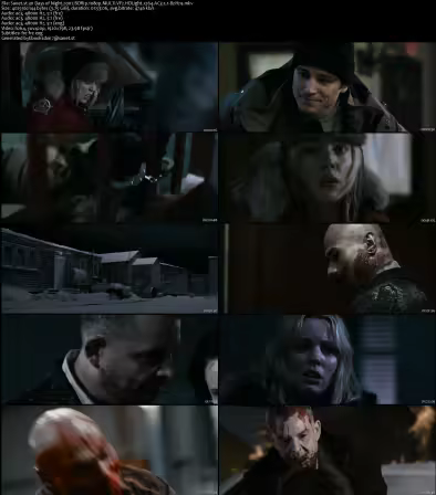 30 Days of Night 2007 BDRip 1080p MULTi VF2 HDLight x264 AC3 5.1-BzH29