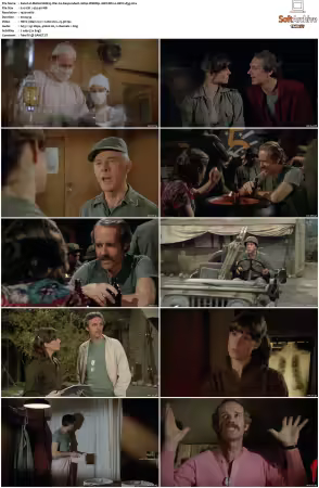 M.A.S.H. S01-S11 1080p WEBRip 10Bit DD2.0 HEVC-d3g