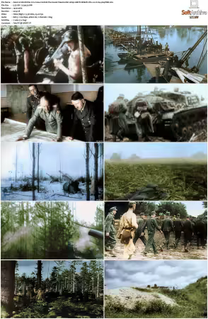 World War II in Colour S01 1080p AMZN WEB-DL DD 2.0 H264-playWEB