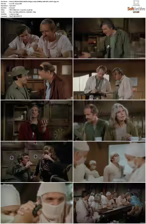 M.A.S.H S08 1080p WEBRip 10Bit DD2.0 HEVC-d3g