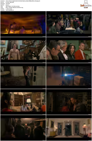Brassic S04 1080p WEBRip DDP5.1 H265-d3g