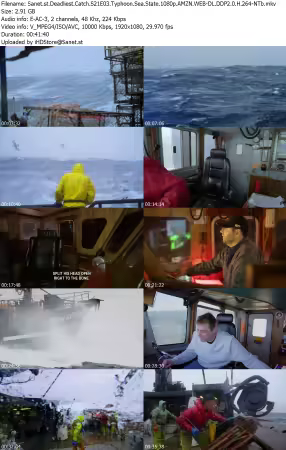 Deadliest Catch S21E03 Typhoon Sea State 1080p AMZN WEB-DL DDP2 0 H 264-NTb
