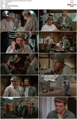 M.A.S.H. S01-S11 1080p WEBRip 10Bit DD2.0 HEVC-d3g