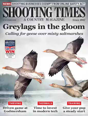 Shooting Times &amp; Country - 12 November 2025