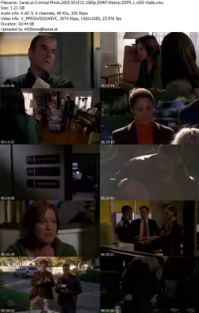 Criminal Minds 2005 S01E12 1080p DSNP Webrip DDP5 1 x265-Vialle