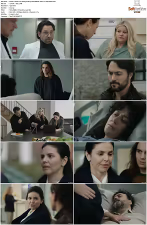 STAT 2022 S01 1080p WEB-DL AAC2.0 H264-KiNGS