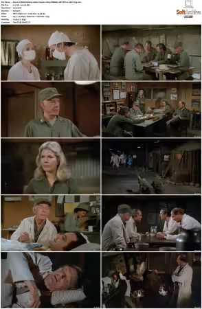 M.A.S.H. S01-S11 1080p WEBRip 10Bit DD2.0 HEVC-d3g