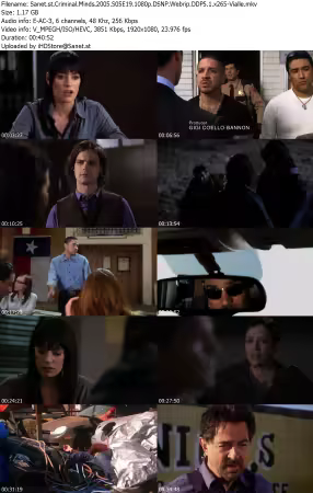 Criminal Minds 2005 S05E19 1080p DSNP Webrip DDP5 1 x265-Vialle