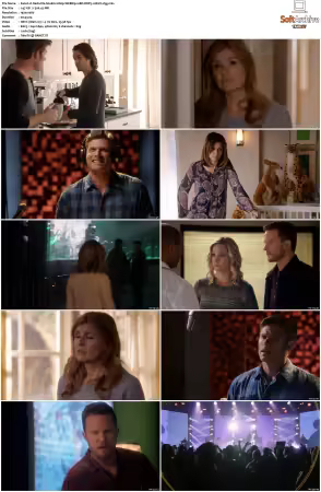 Nashville S04 1080p WEBRip 10Bit DDP5.1 HEVC-d3g