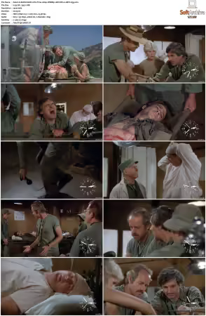 M.A.S.H. S01-S11 1080p WEBRip 10Bit DD2.0 HEVC-d3g