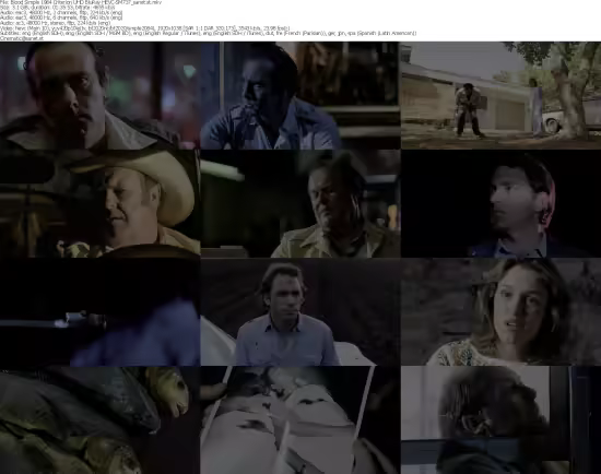 Blood Simple 1984 Criterion UHD BluRay HEVC-SM737