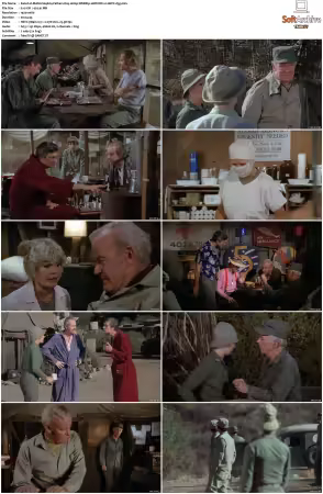 M.A.S.H. S01-S11 1080p WEBRip 10Bit DD2.0 HEVC-d3g
