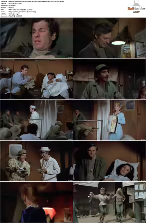 M.A.S.H S10 1080p WEBRip 10Bit DD2 0 HEVC-d3g