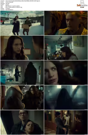 Wynonna Earp S02 1080p WEBRip 10Bit DDP2.0 HEVC-d3g