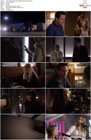 Nashville S04 1080p WEBRip 10Bit DDP5.1 HEVC-d3g