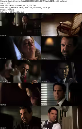 Criminal Minds 2005 S05E03 1080p DSNP Webrip DDP5 1 x265-Vialle
