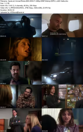 Criminal Minds 2005 S05E17 1080p DSNP Webrip DDP5 1 x265-Vialle
