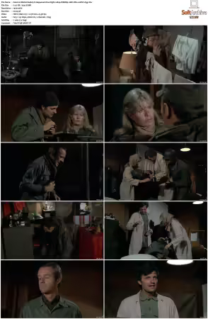 M.A.S.H. S01-S11 1080p WEBRip 10Bit DD2.0 HEVC-d3g