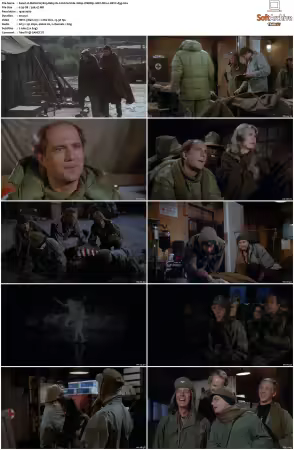 M.A.S.H. S01-S11 1080p WEBRip 10Bit DD2.0 HEVC-d3g