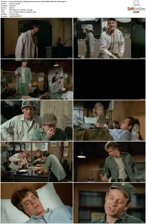 M.A.S.H S03 1080p WEBRip 10Bit DD2.0 HEVC-d3g