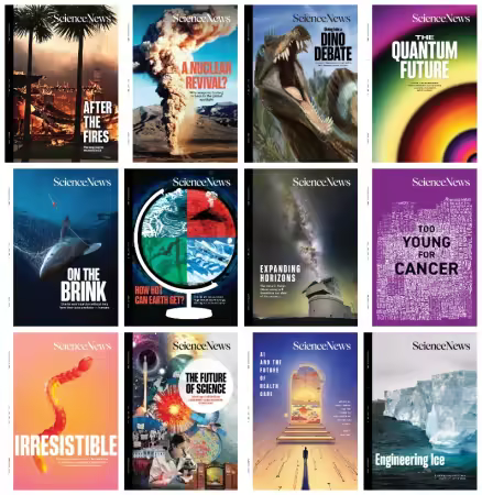 Science News - Full Year 2025 Collection