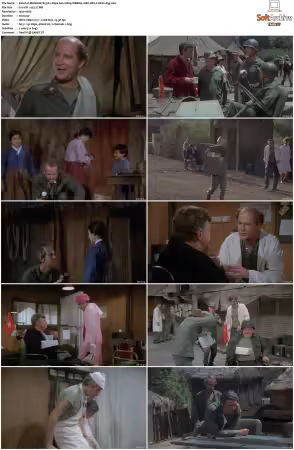 M.A.S.H. S01-S11 1080p WEBRip 10Bit DD2.0 HEVC-d3g