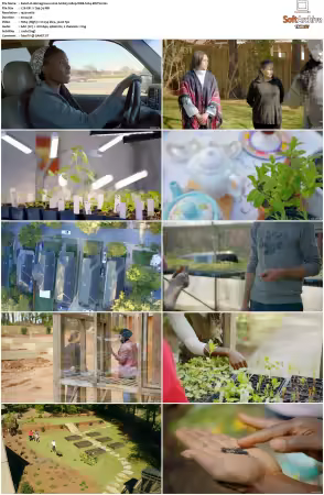 Homegrown 2020 S01 1080p WEB h264-EDITH