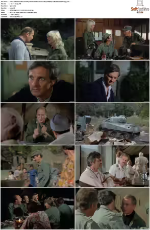 M.A.S.H S11 1080p WEBRip 10Bit DD2.0 HEVC-d3g
