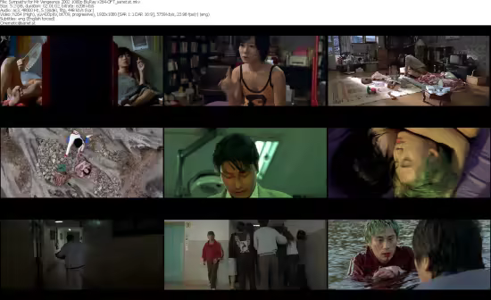 Sympathy for Mr Vengeance 2002 1080p BluRay x264-OFT