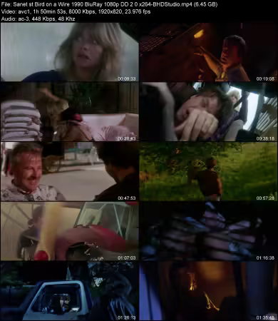 Bird on a Wire 1990 BluRay 1080p DD 2.0 x264-BHDStudio