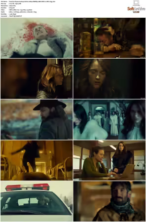 Wynonna Earp S01 1080p WEBRip 10Bit DDP2.0 HEVC-d3g