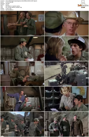 M.A.S.H. S01-S11 1080p WEBRip 10Bit DD2.0 HEVC-d3g