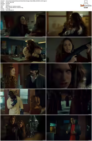 Wynonna Earp S02 1080p WEBRip 10Bit DDP2.0 HEVC-d3g